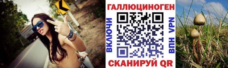Галлюциногенные грибы прущие грибы  Вуктыл 